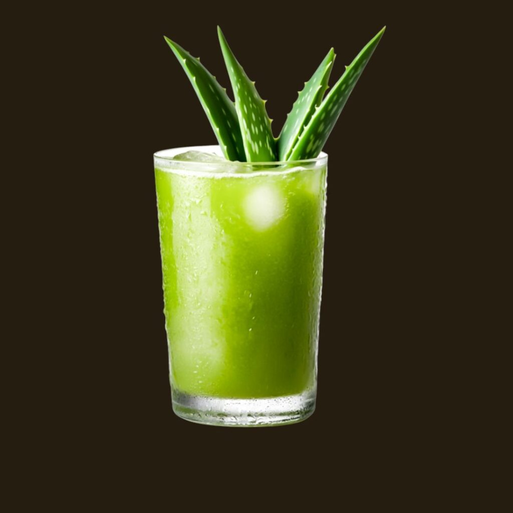 Aloe Vera Saft/Schorle